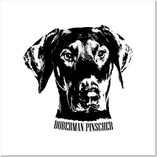 Doberman Pinscher - Dobermann Posters and Art